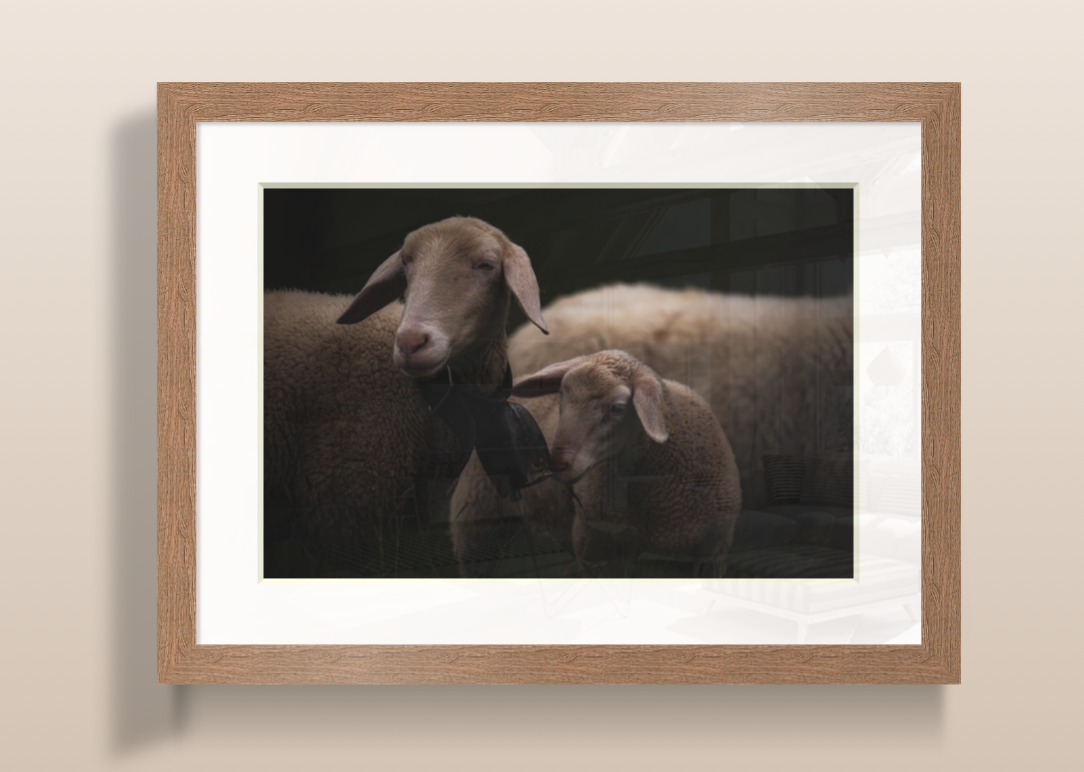 Capture d’écran 2026-03-20 à 20.23.55.png