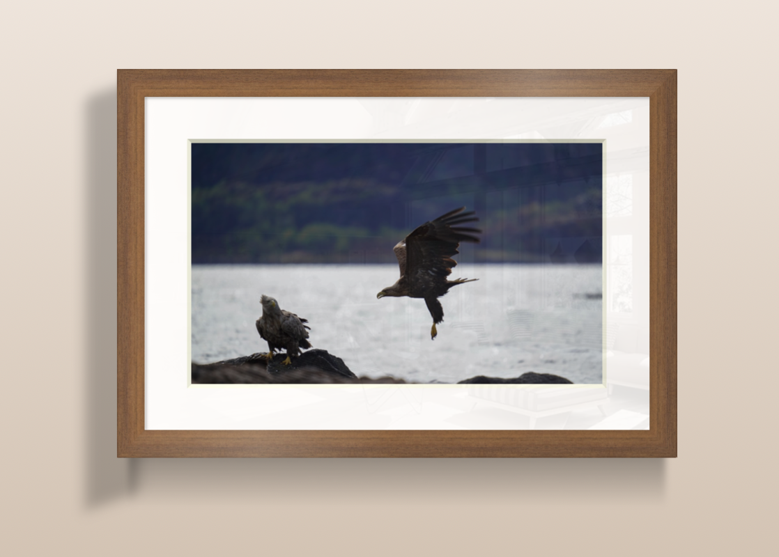 Capture d’écran 2026-03-21 à 09.22.22.png