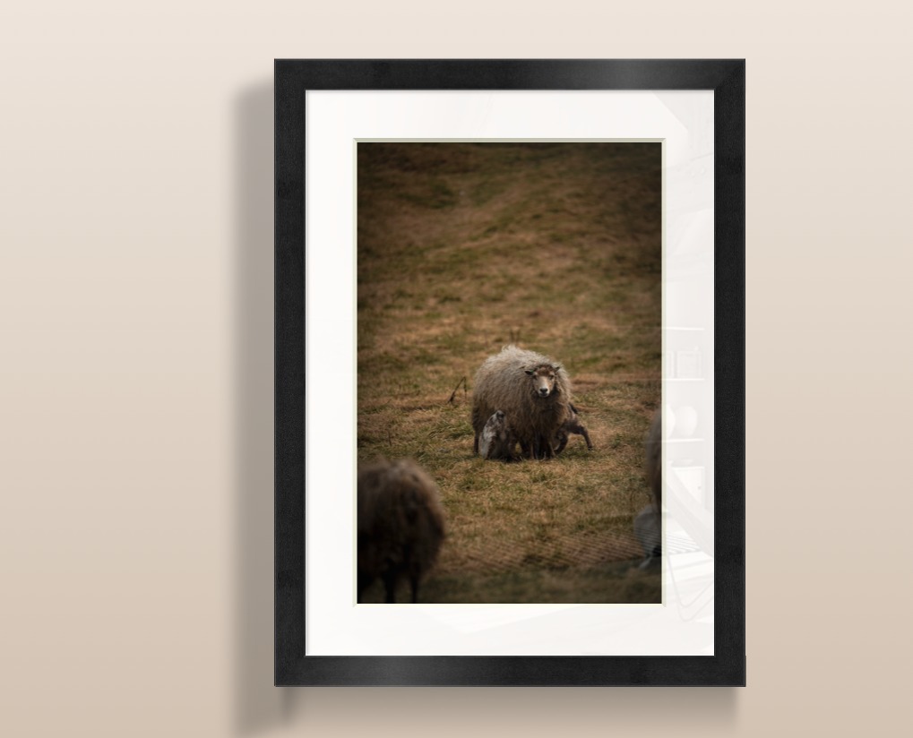 Capture d’écran 2026-03-21 à 09.38.27.png