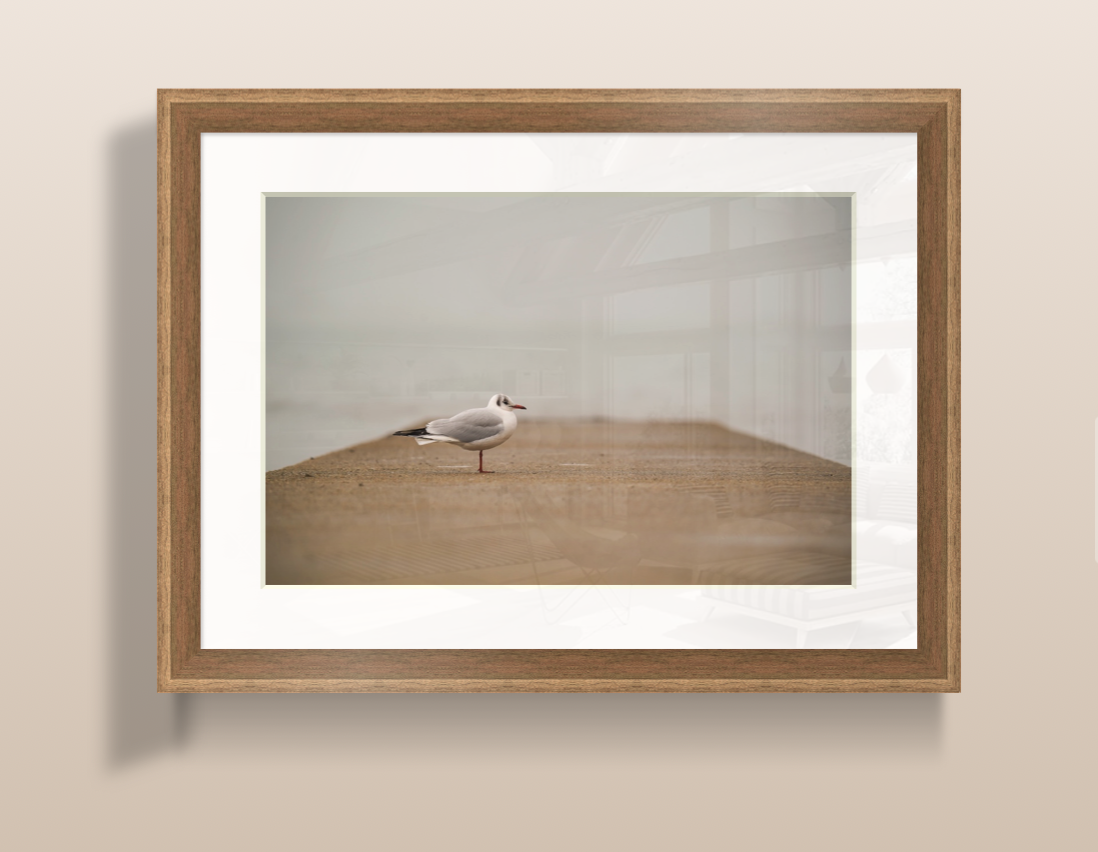 Capture d’écran 2026-03-19 à 15.12.53.png