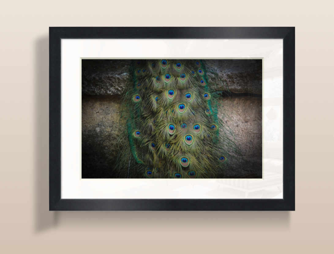 Capture d’écran 2026-03-19 à 20.21.30.png