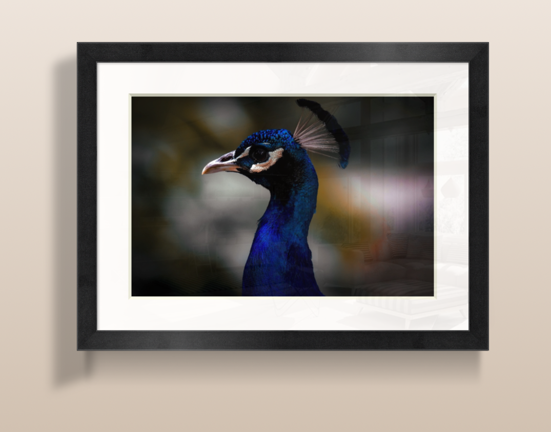 Capture d’écran 2026-03-19 à 20.25.53.png