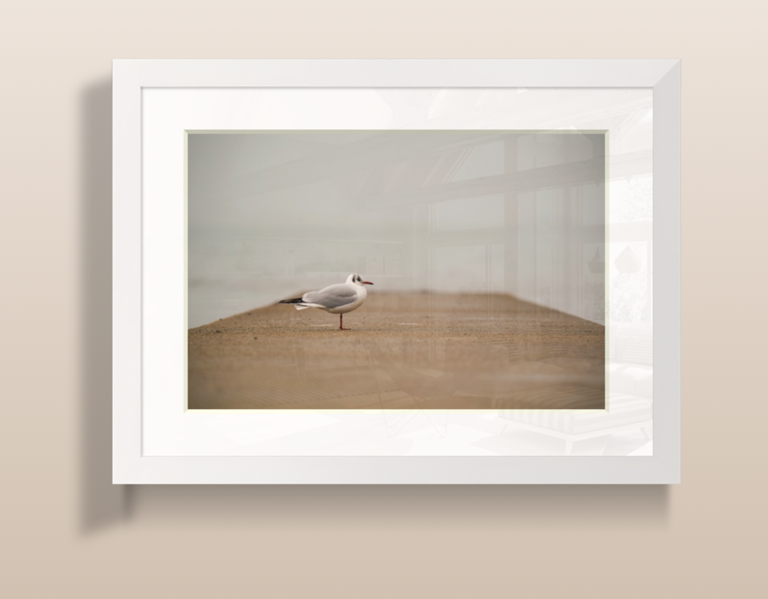 Capture d’écran 2026-03-19 à 15.13.13.png