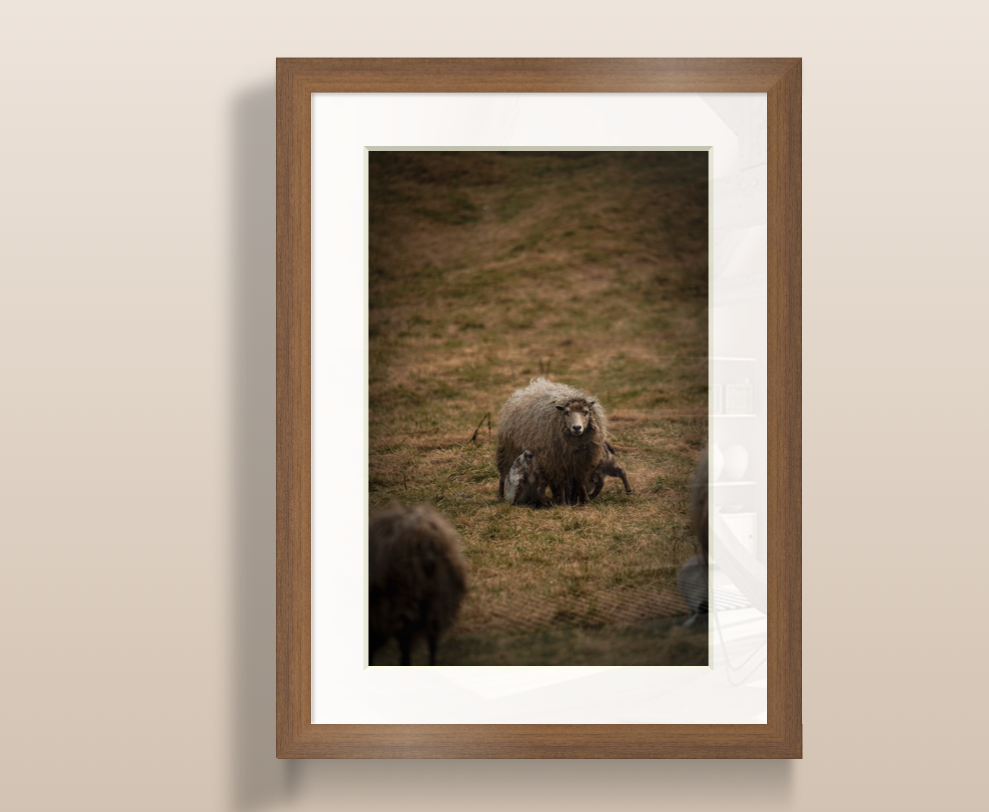 Capture d’écran 2026-03-21 à 09.38.38.png