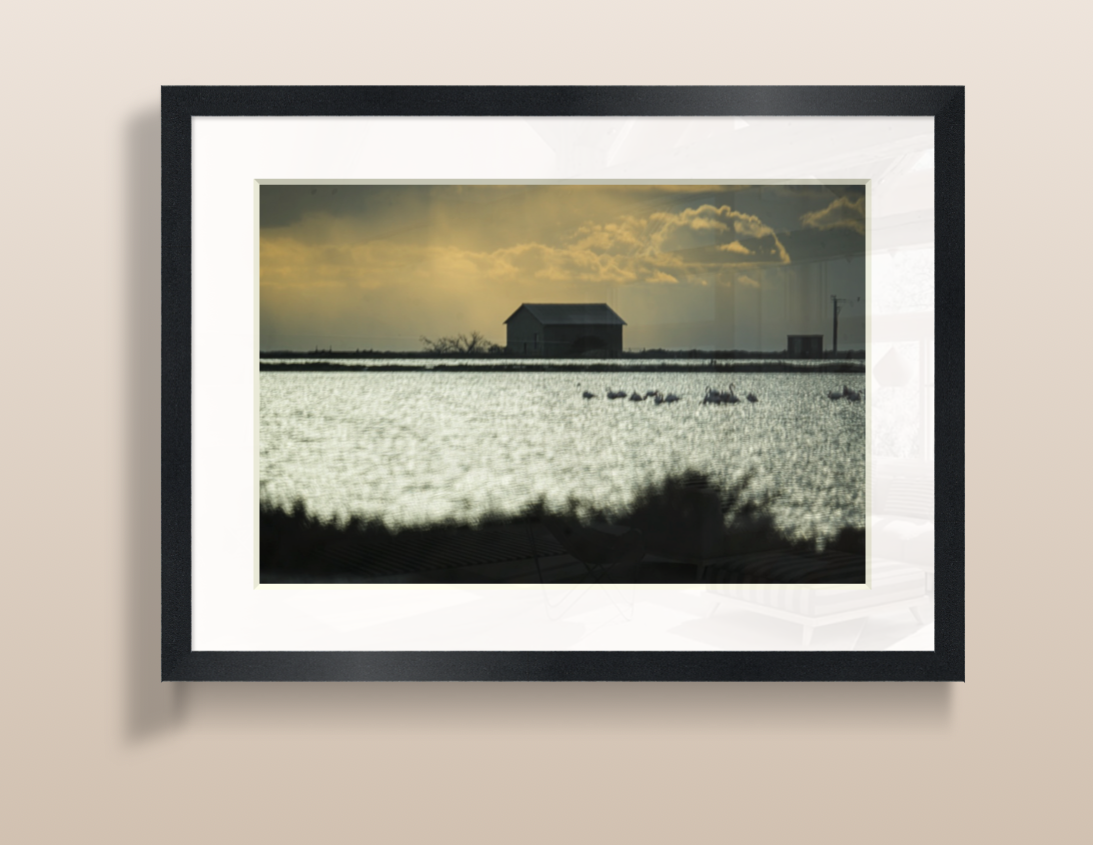 Capture d’écran 2026-03-19 à 15.25.02.png