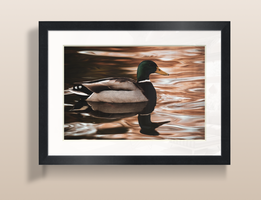 Capture d’écran 2026-03-19 à 19.55.42.png