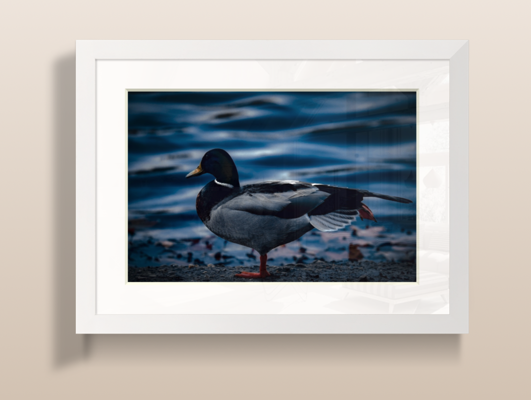 Capture d’écran 2026-03-19 à 20.02.48.png