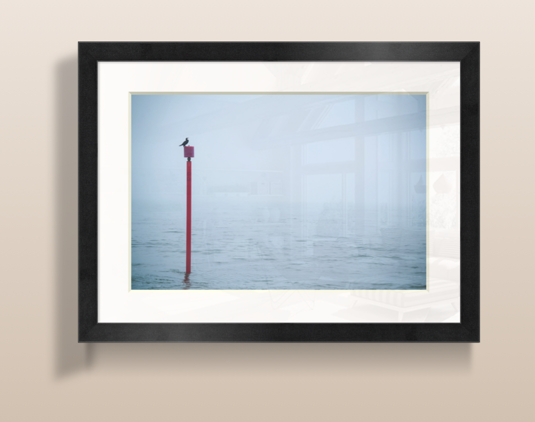 Capture d’écran 2026-03-19 à 15.08.58.png