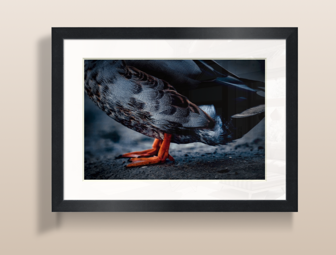 Capture d’écran 2026-03-19 à 20.06.32.png