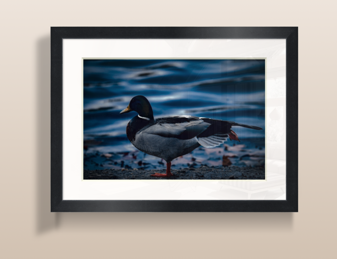 Capture d’écran 2026-03-19 à 20.03.00.png