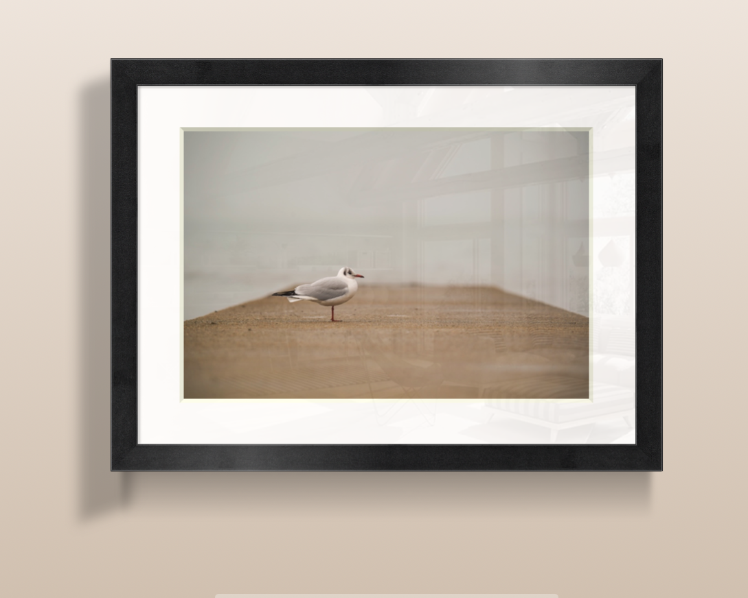 Capture d’écran 2026-03-19 à 15.13.02.png