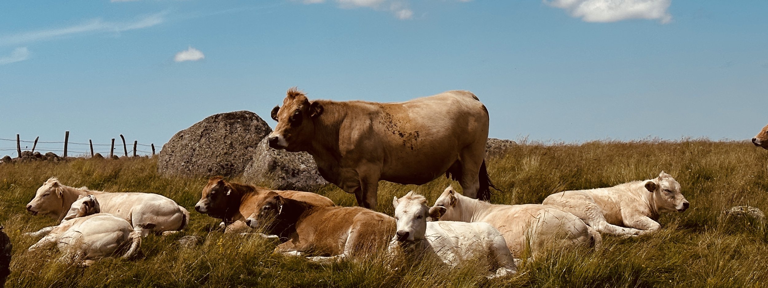 rencontres sur les chemins de St Jacques 
