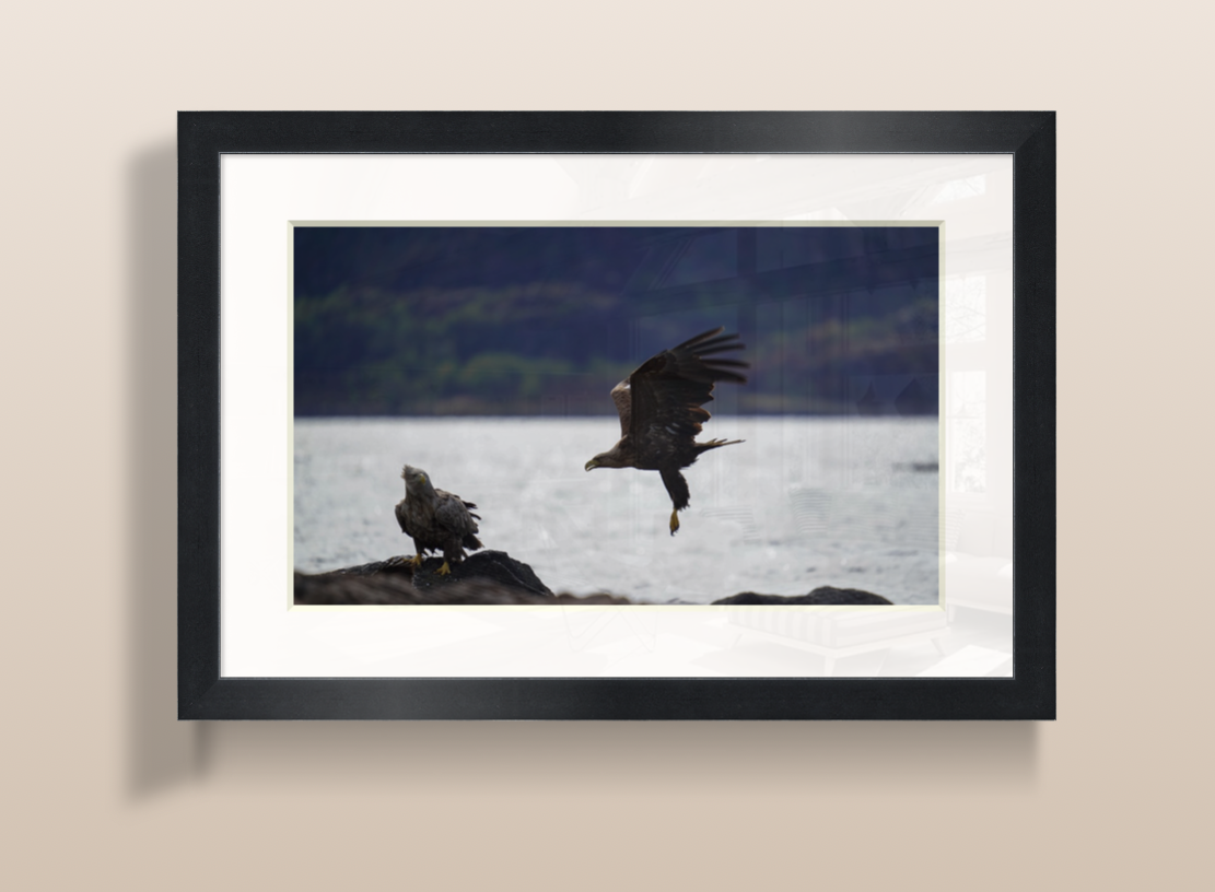 Capture d’écran 2026-03-21 à 09.22.09.png