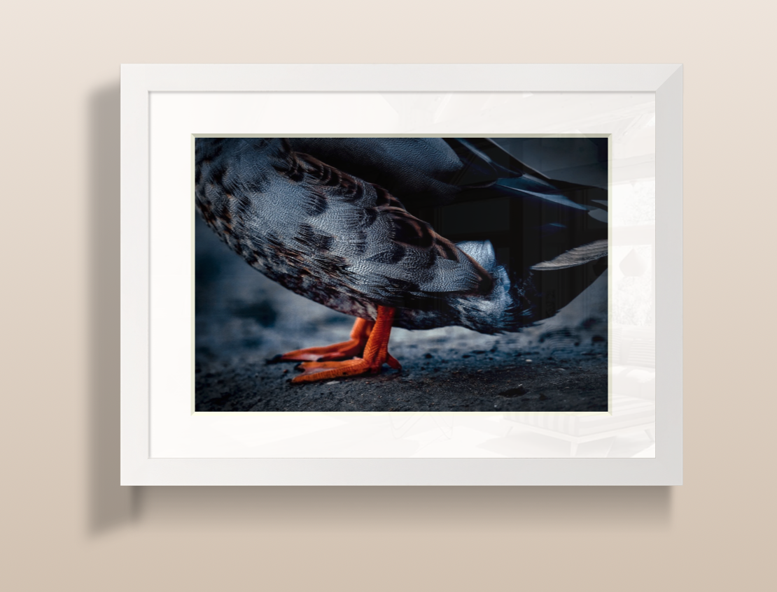 Capture d’écran 2026-03-19 à 20.06.43.png