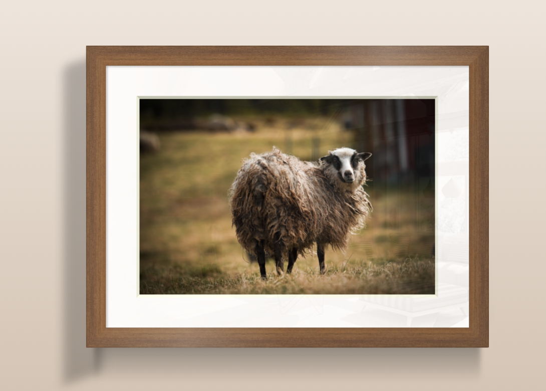 Capture d’écran 2026-03-21 à 09.33.24.png