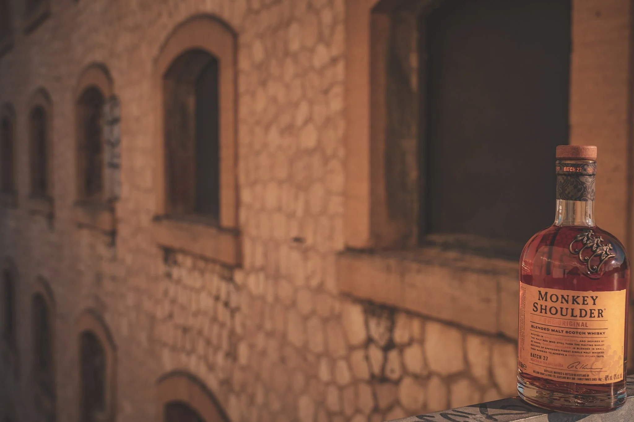 pub MS dans son environnement