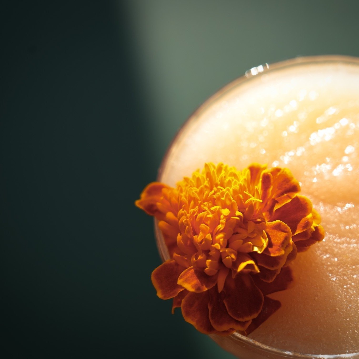 Fleur orange sur une surface lumineuse, partie d'une boisson gazeuse avec glaçons dans un verre