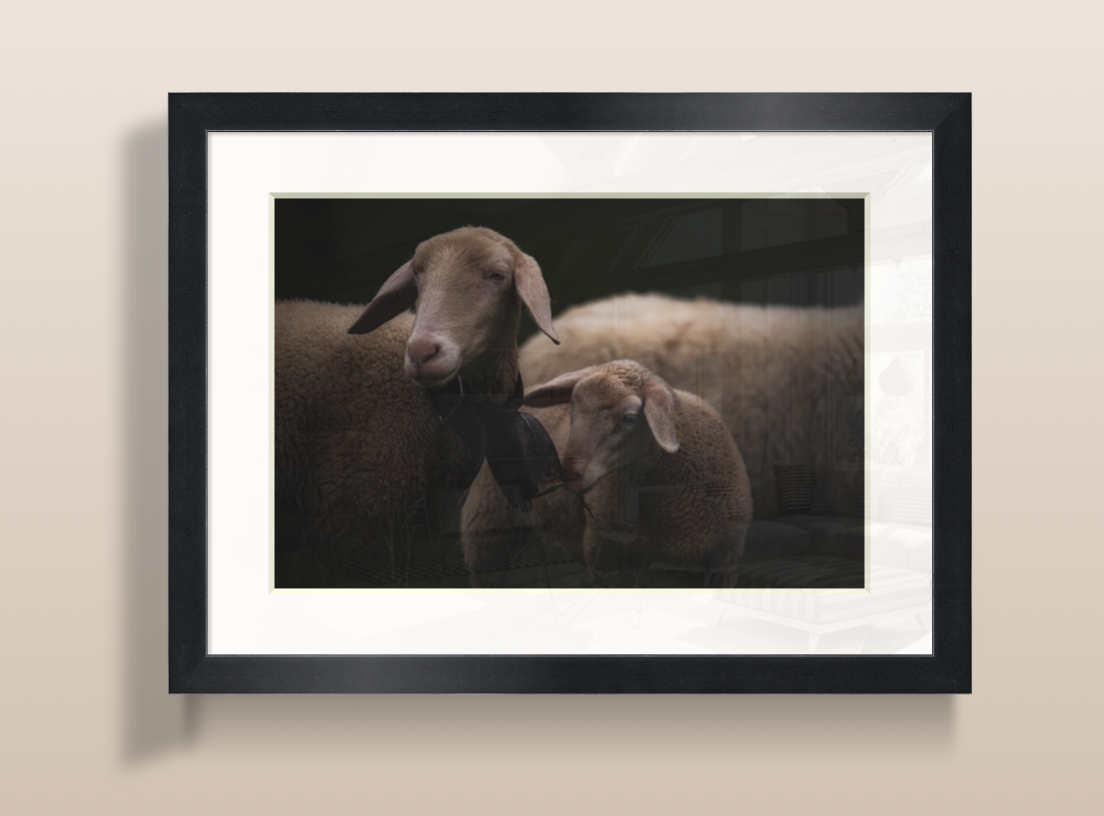 Capture d’écran 2026-03-20 à 20.24.05.png