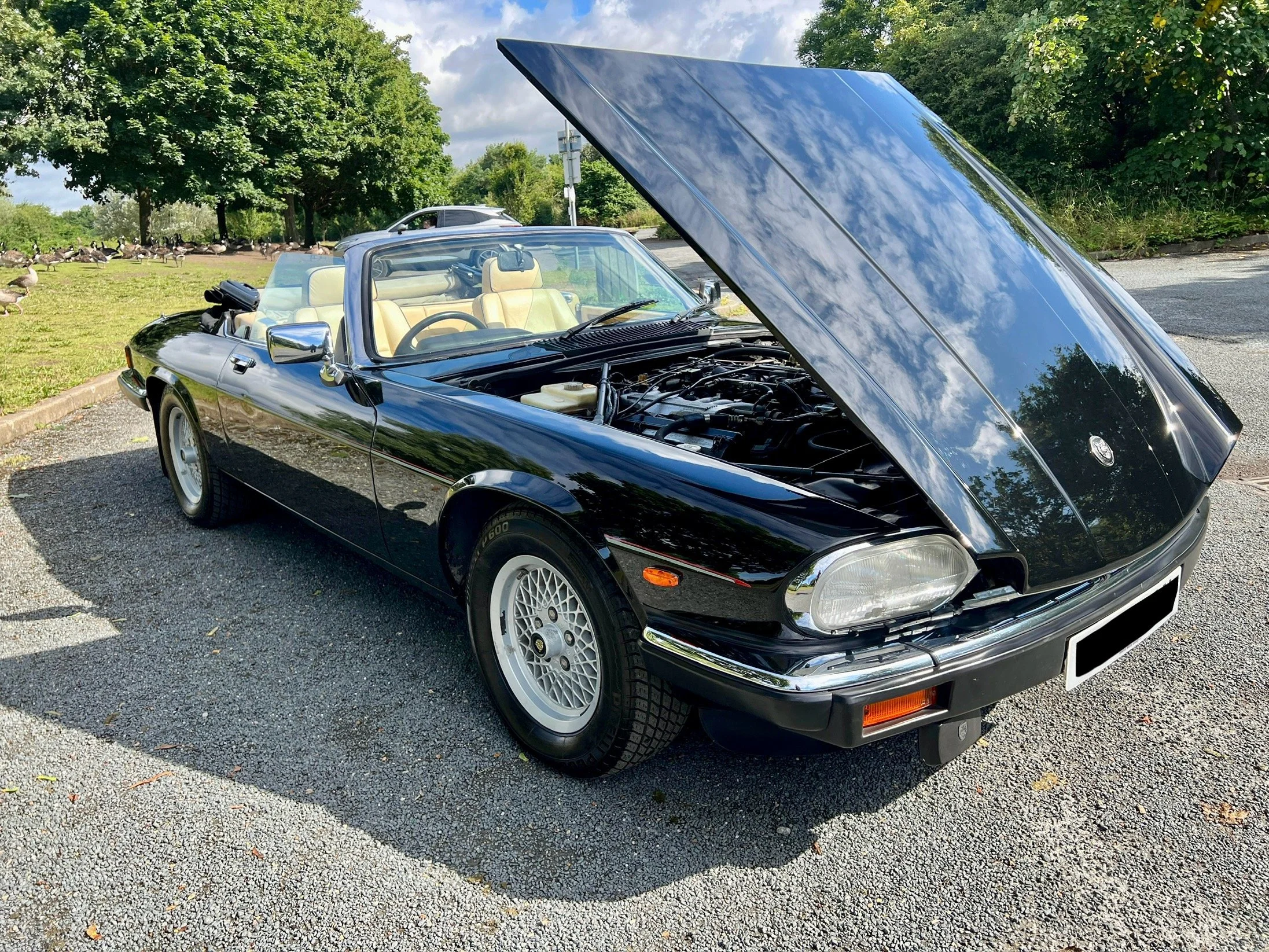 1990-Jaguar-XJS-G941CAN-IMG-14.jpg