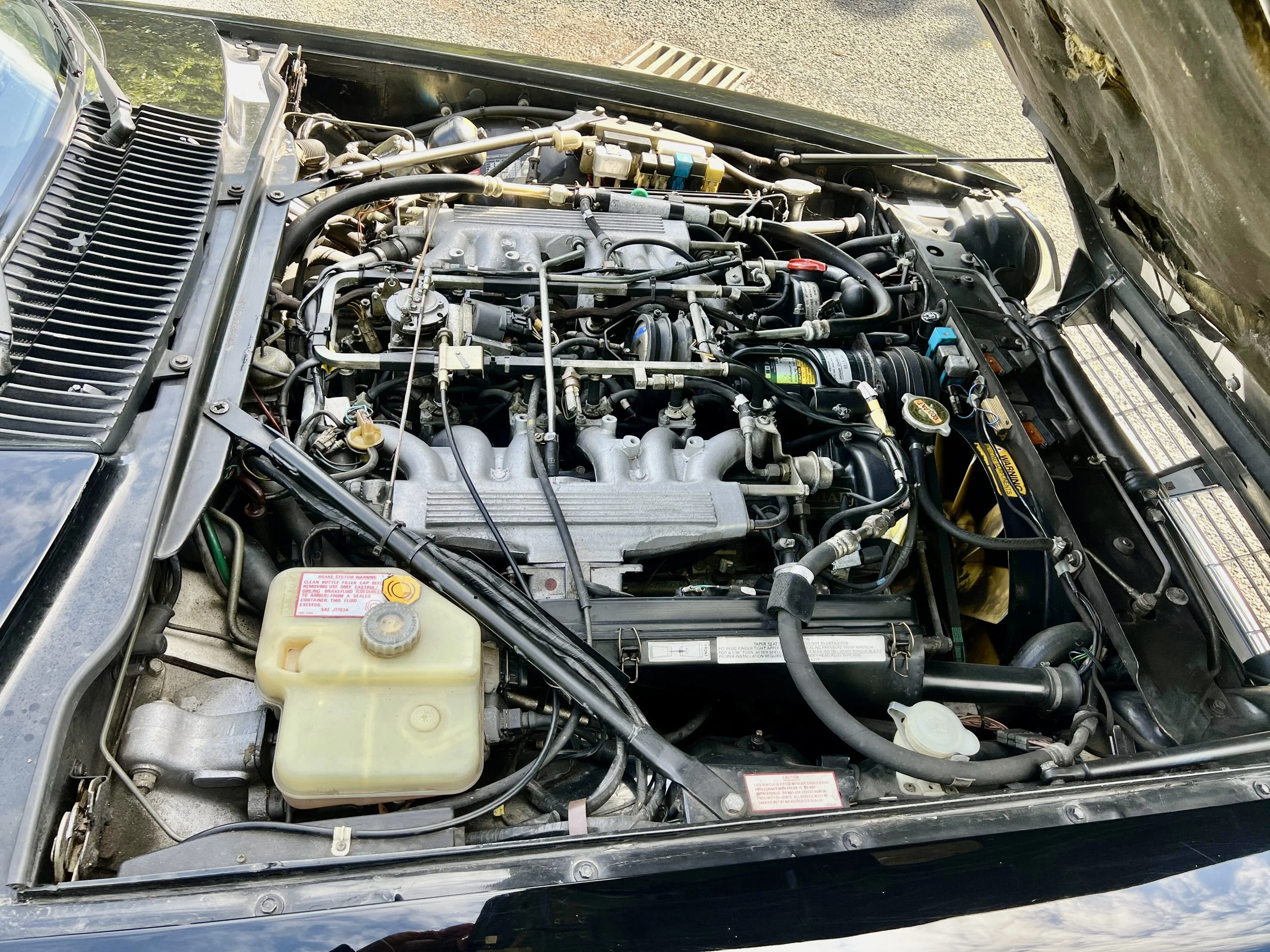 1990-Jaguar-XJS-G941CAN-IMG-22.jpg