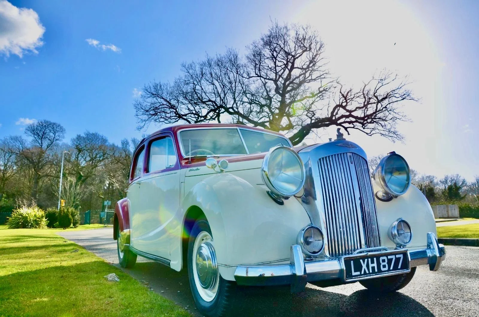 1950 Austin Shearline - 1.jpeg