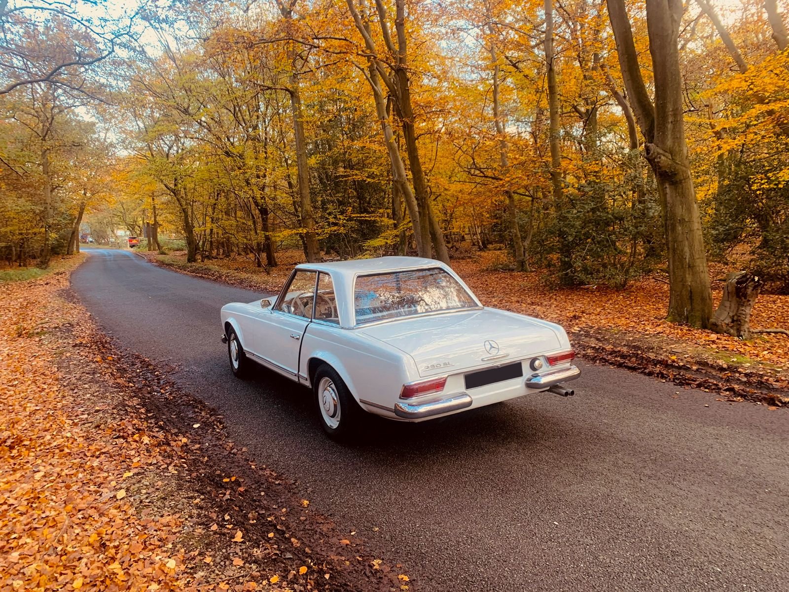 1965 Mercedes-Benz 230SL - IMG 11.jpeg