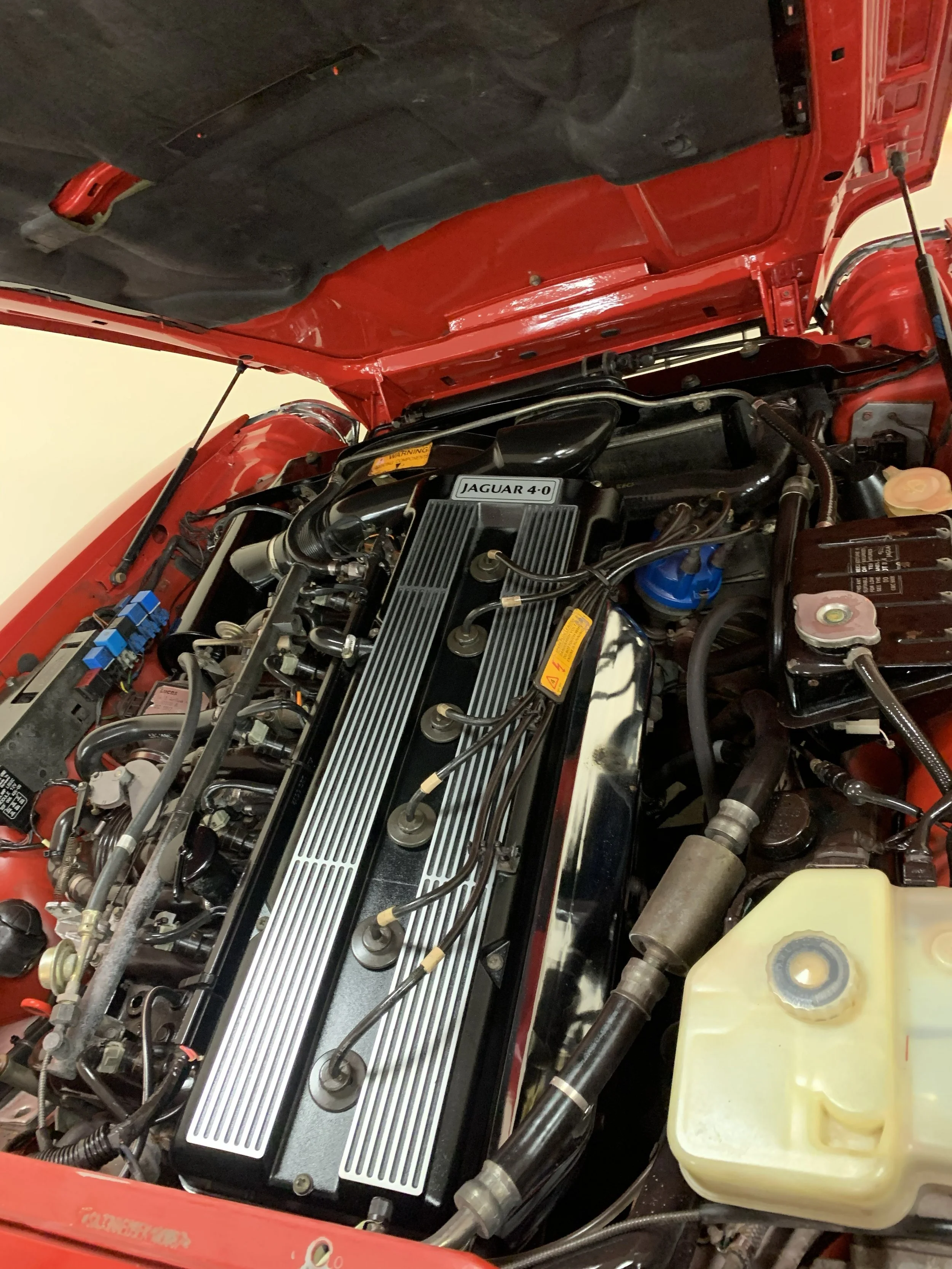 1991 Jaguar XJS - IMG_1487.jpg