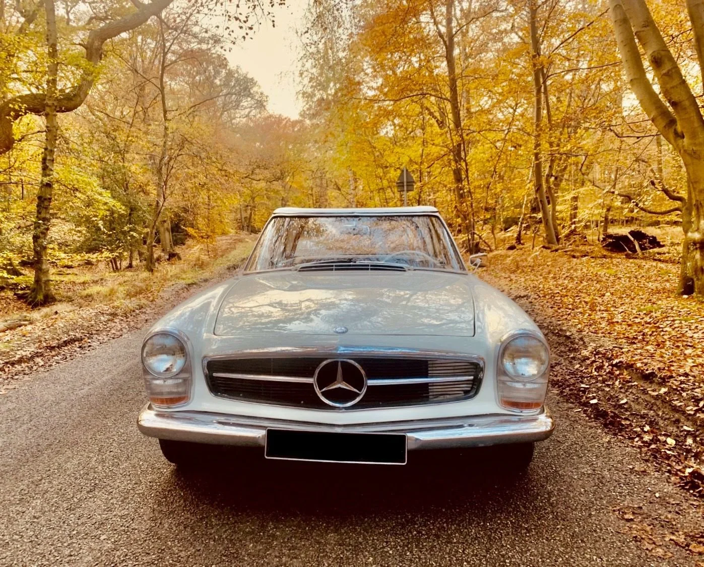 126. Mercedes 230 SL White 2.jpeg