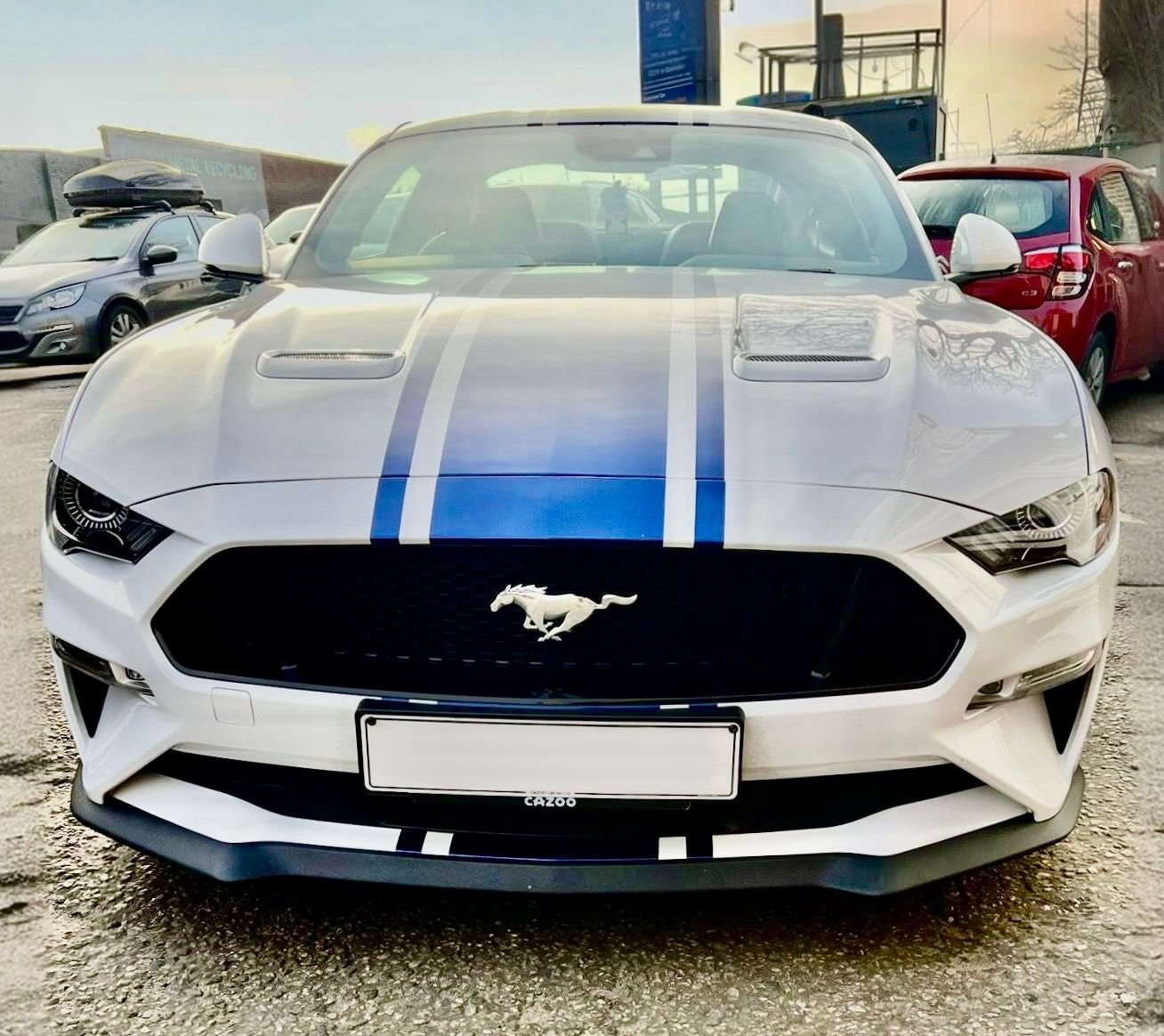 74. MUSTANG - 2.jpeg