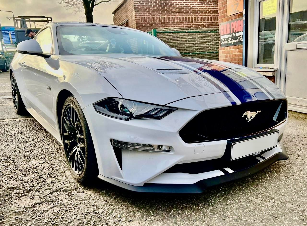 36. MUSTANGE - 1.jpeg