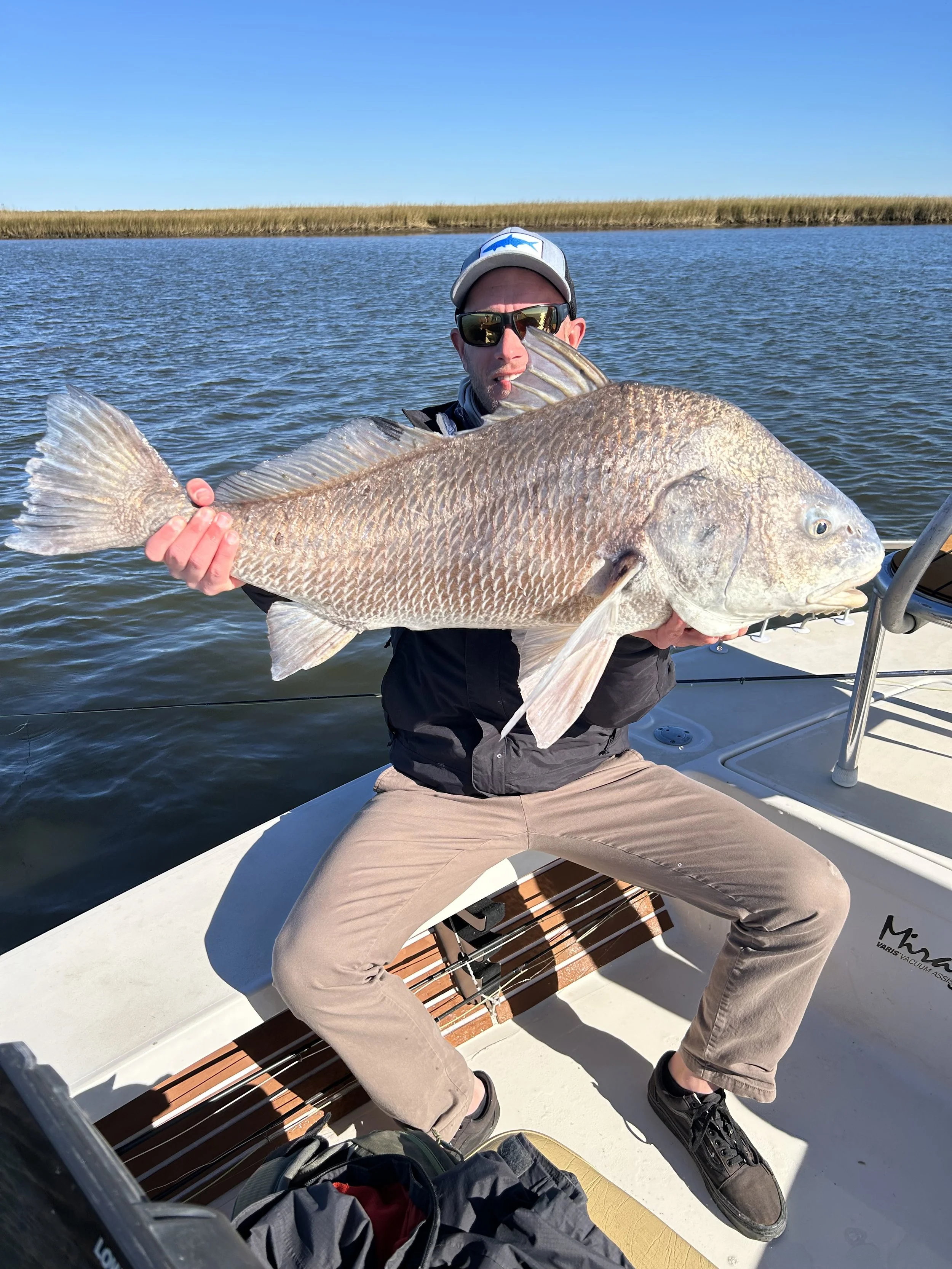 Huge Black Drum 