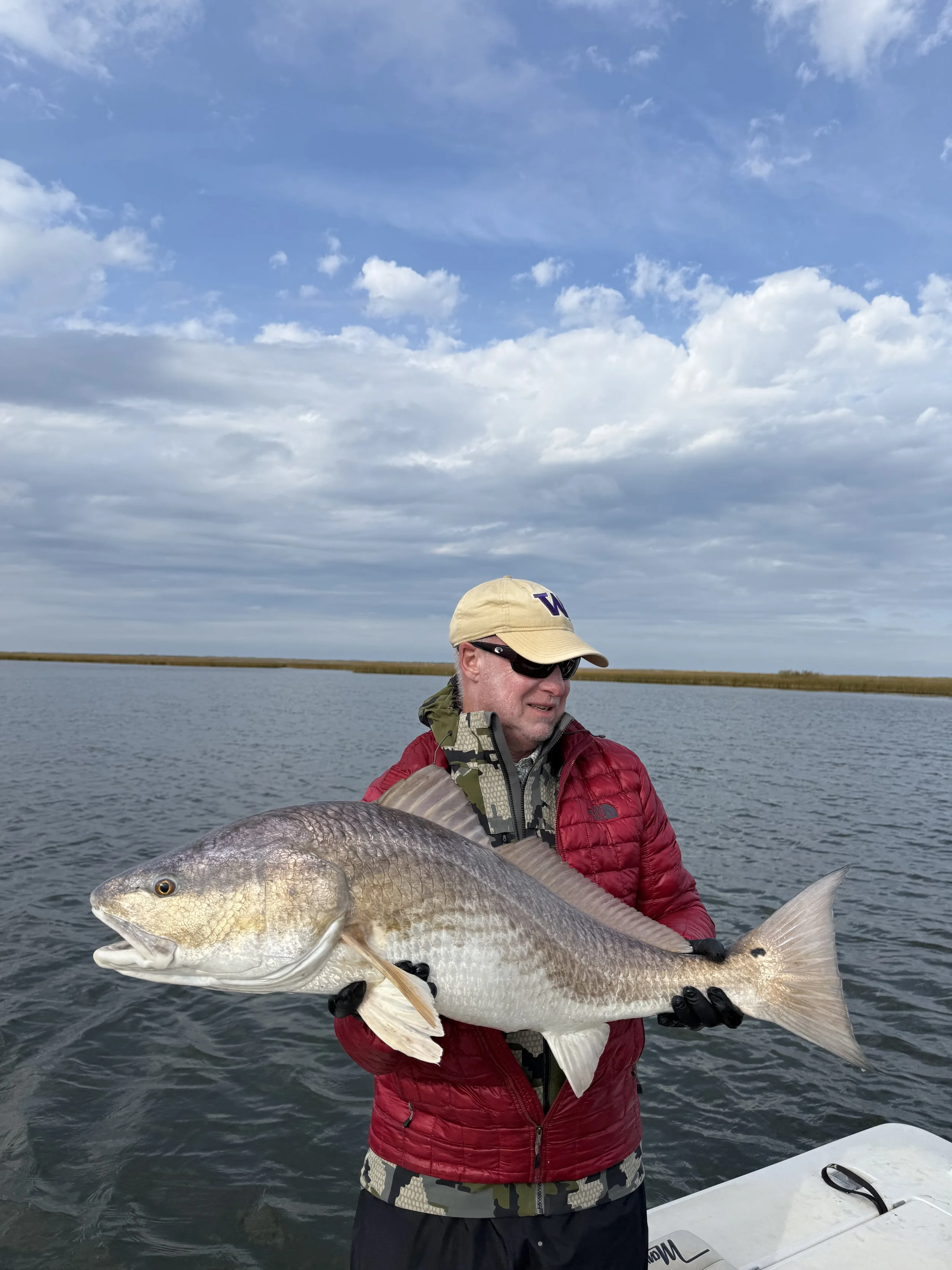 Bull Redfish caught on crab fly pattern in Barataria Basin Louisiana 
