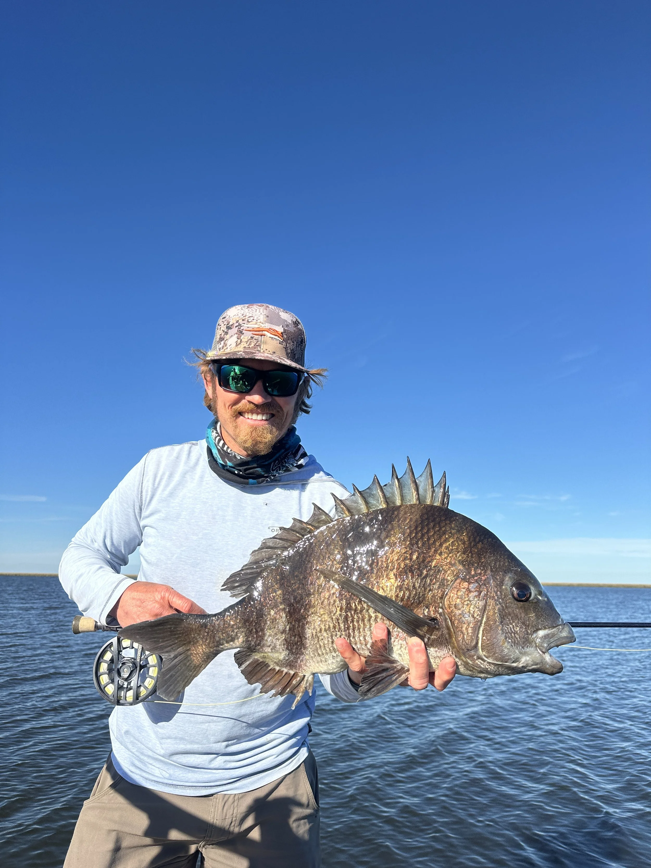 Sheepshead on the fly!