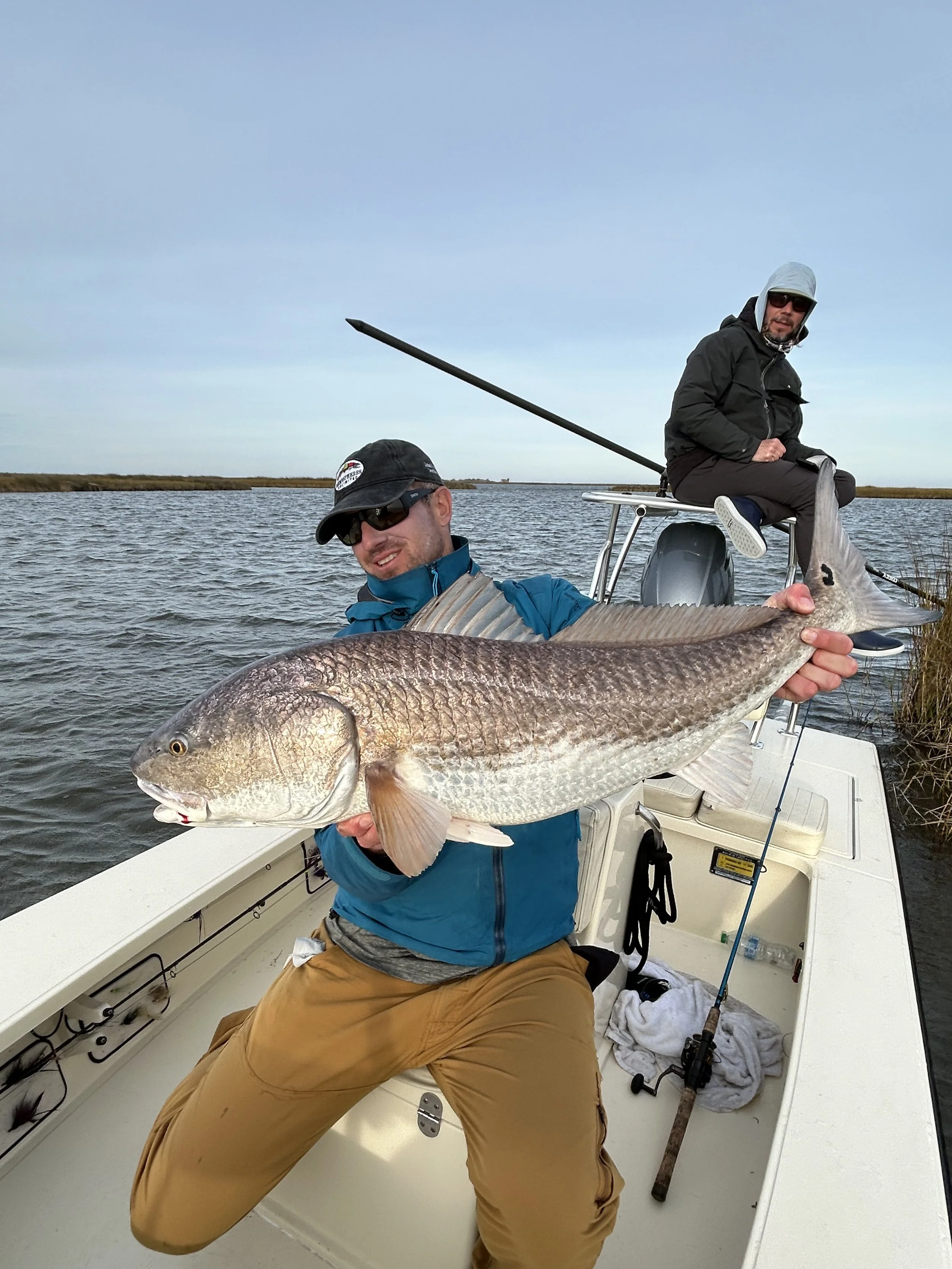 Fly angler landing oversized red drum in Louisiana Marsh 