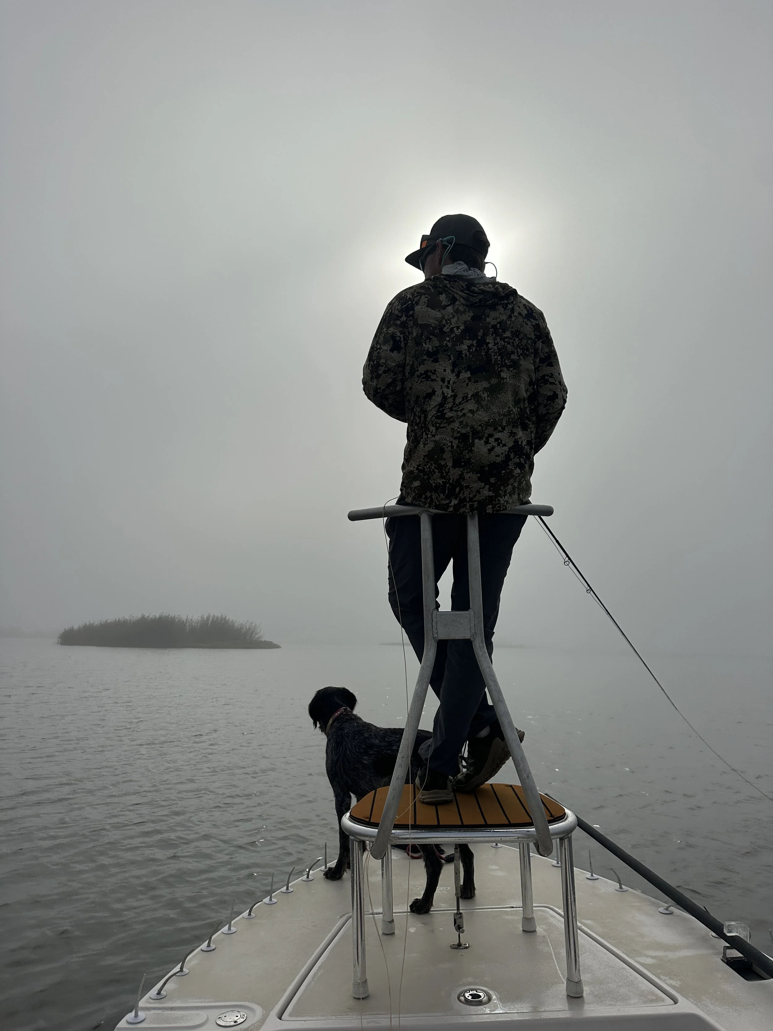 Foggy morning in Louisiana Marsh with tailing Redfish 