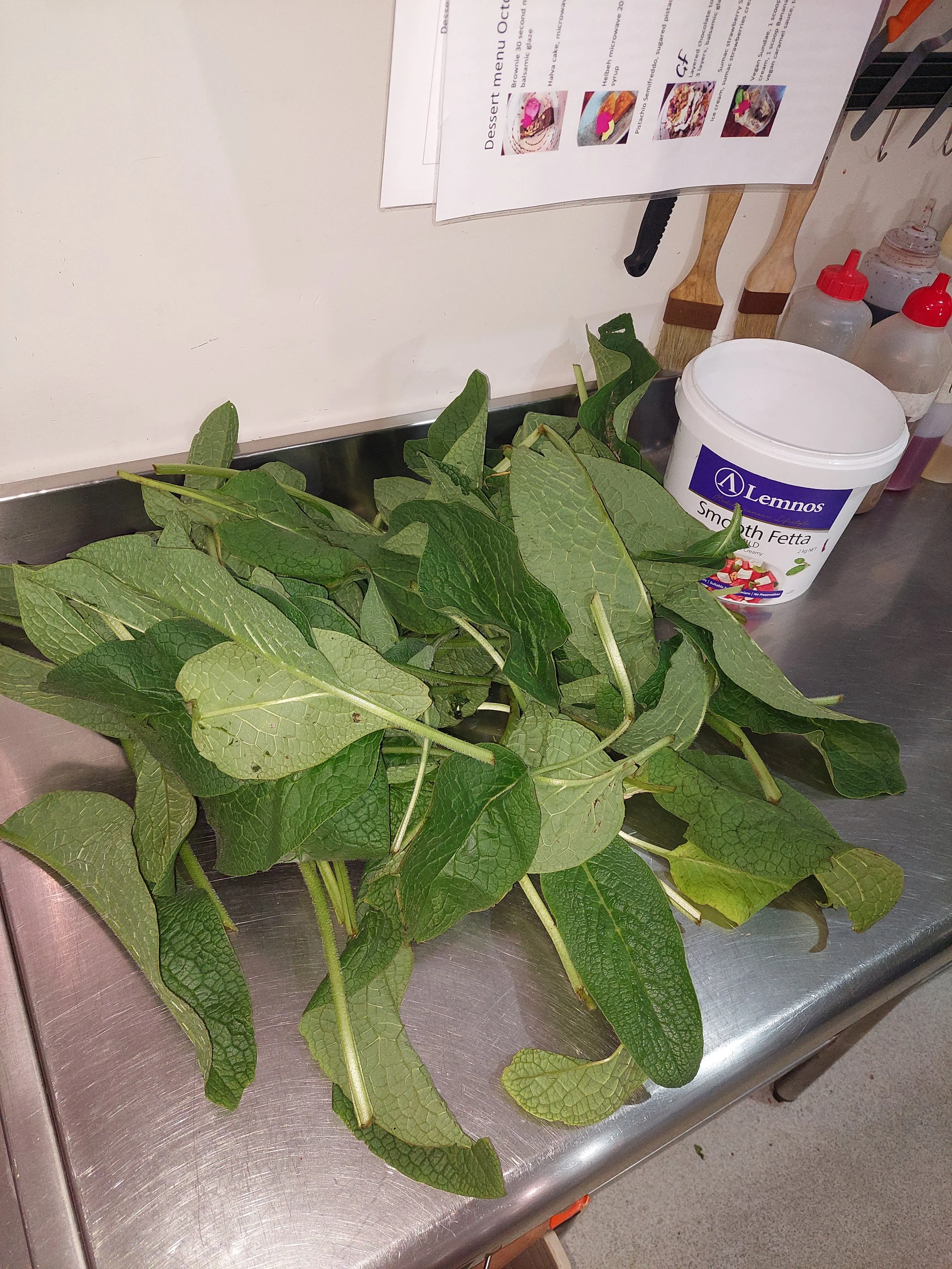 Fermented Plant Juice