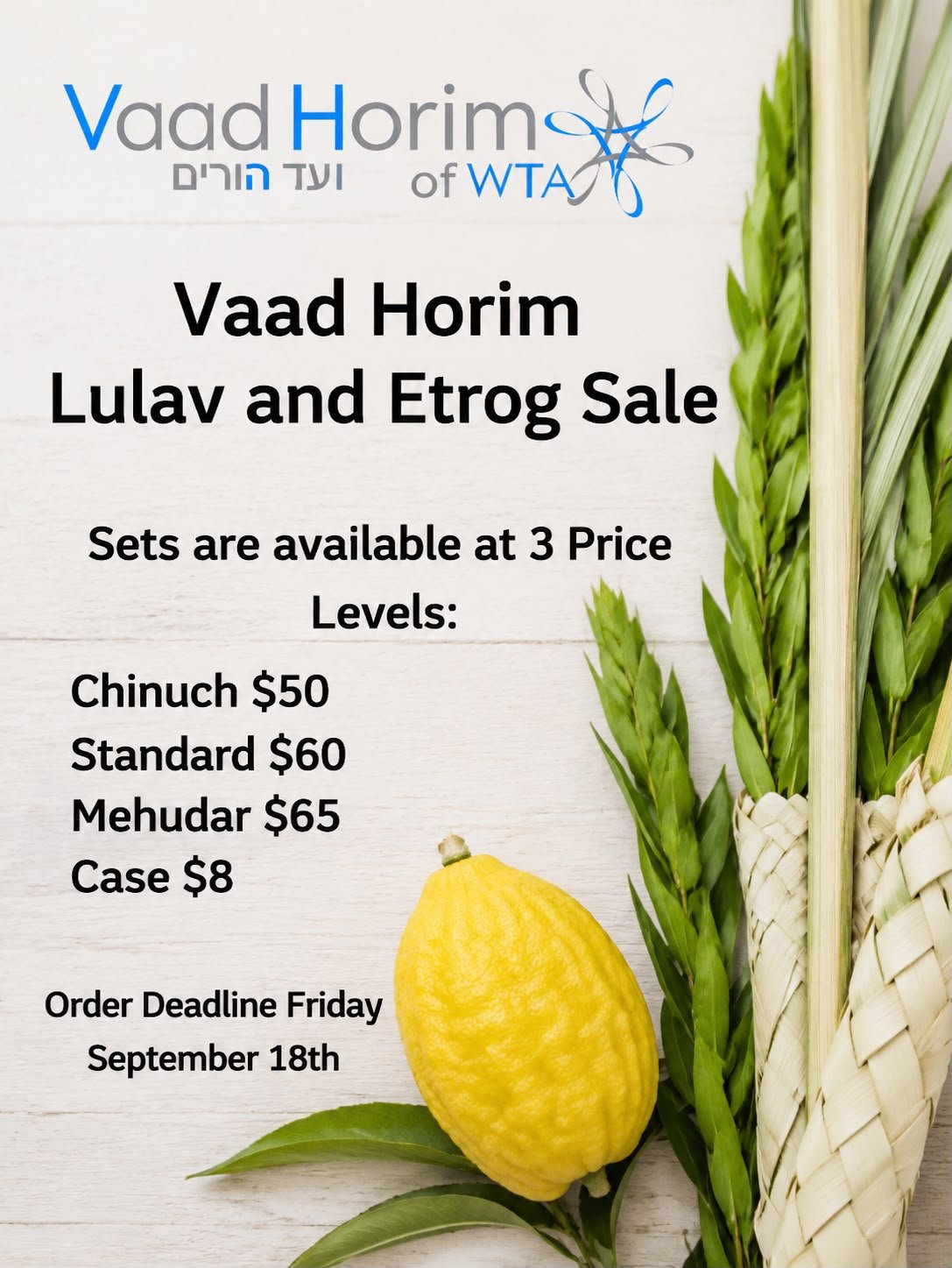 Lulav and Etrog