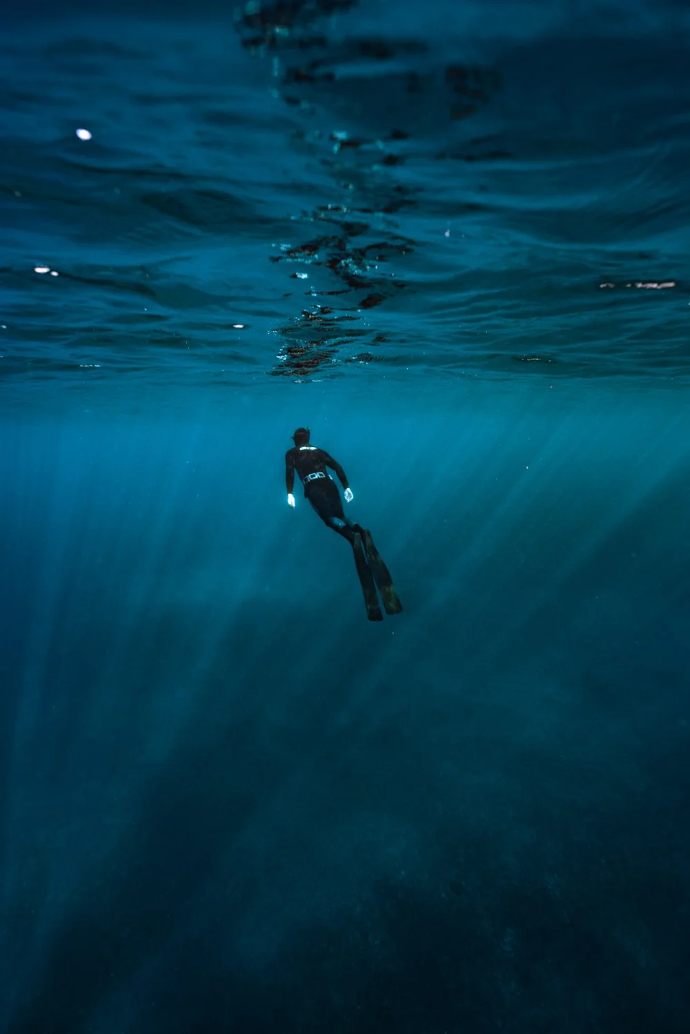 Underwater photography by Mona Lisa Fiedler — freediver underwater