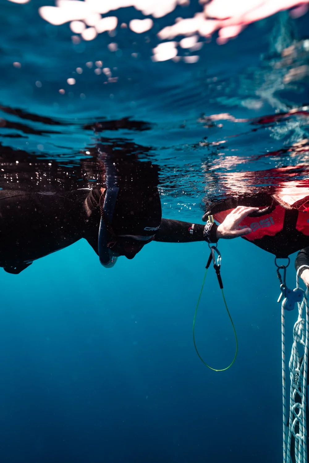 Underwater photography by Mona Lisa Fiedler — portrait beneath the surface