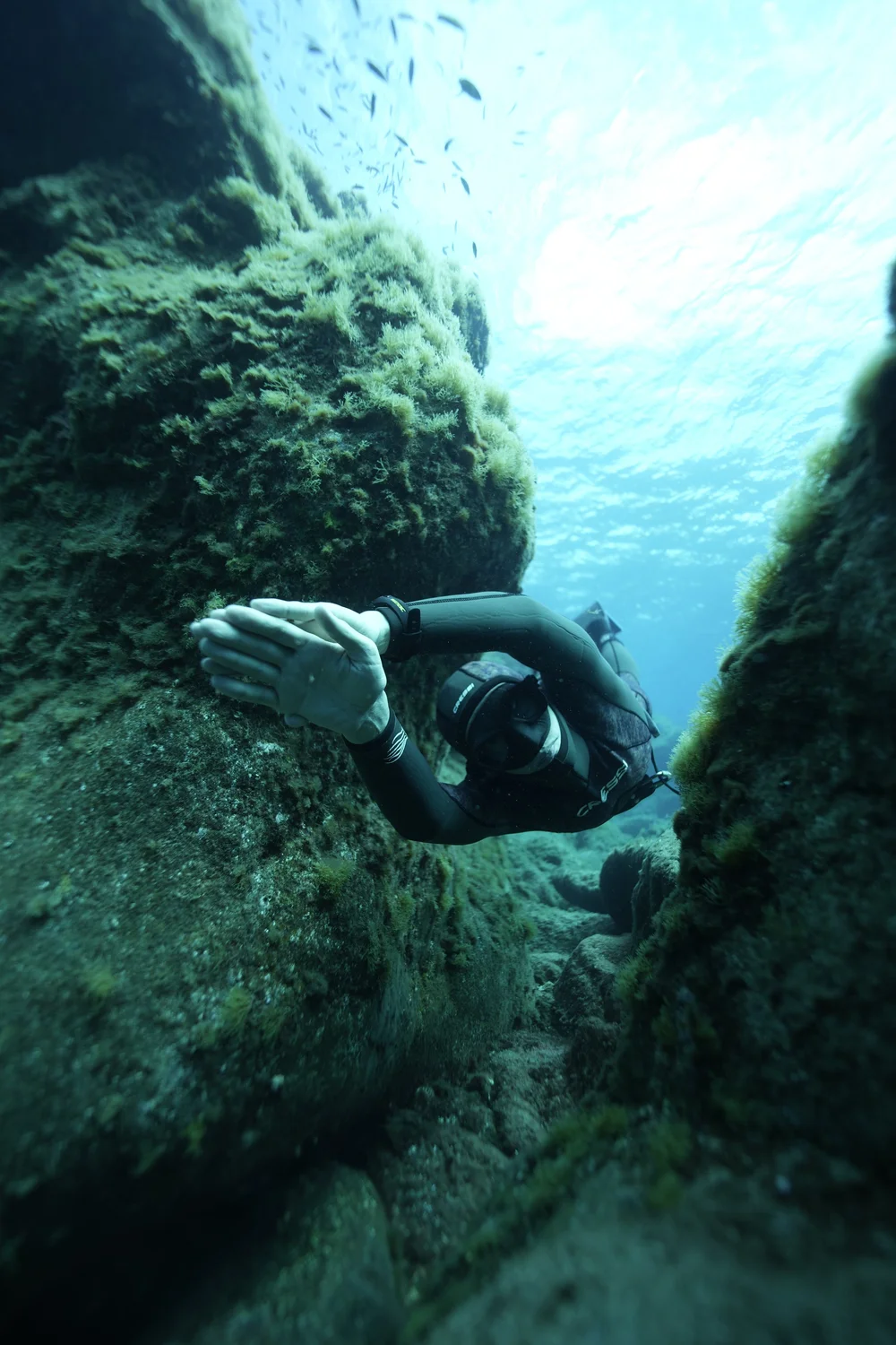 A freediver engaging between underwater walls of corals in Tenerife