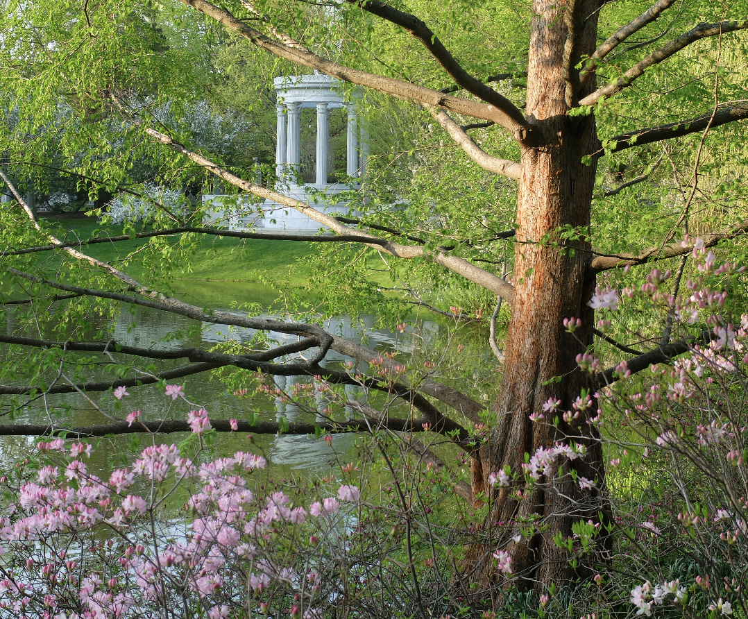 Mount Auburn Ceneteray and Crematory Visit