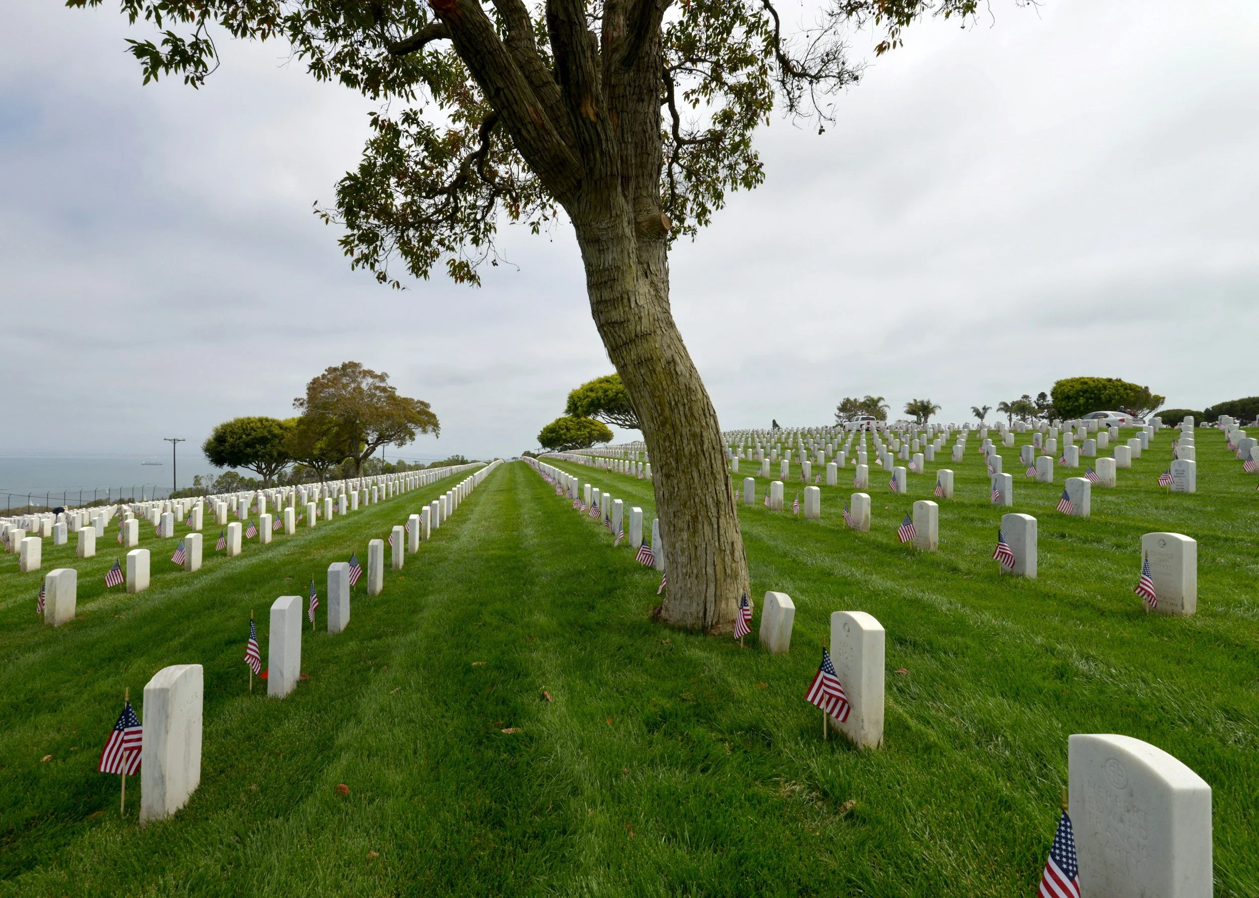 Field Trip: Bourne Veterans Cemetery
