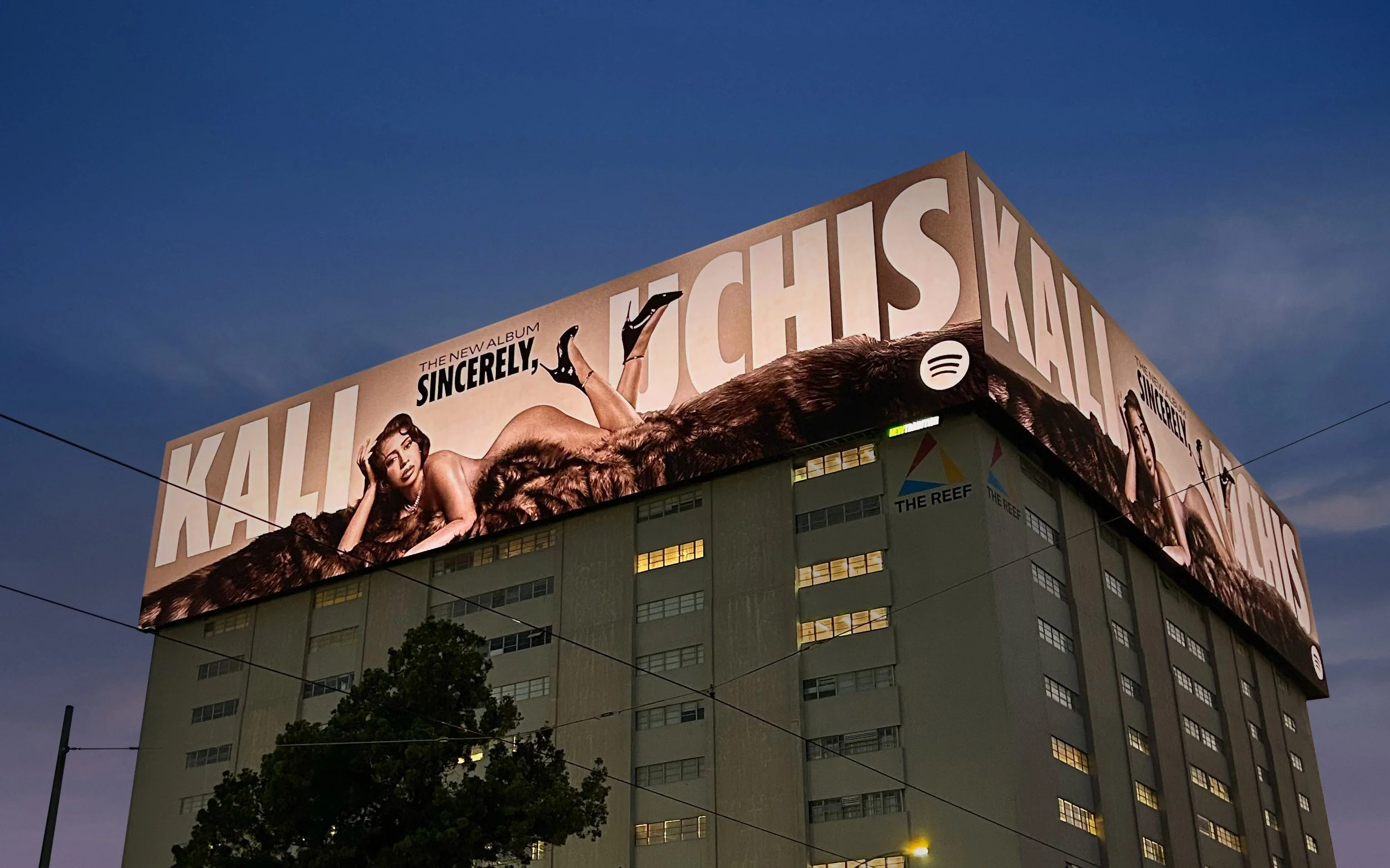 Kali Uchis PR Campaign Shot by Zach Apo-Tsang