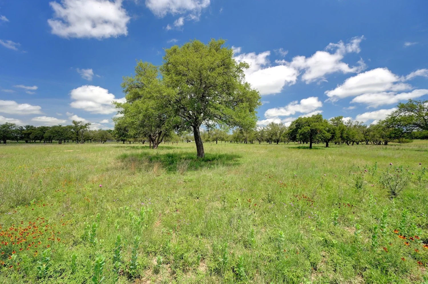 023-442922-Homestead24_Lot+5_001_12482291.jpg