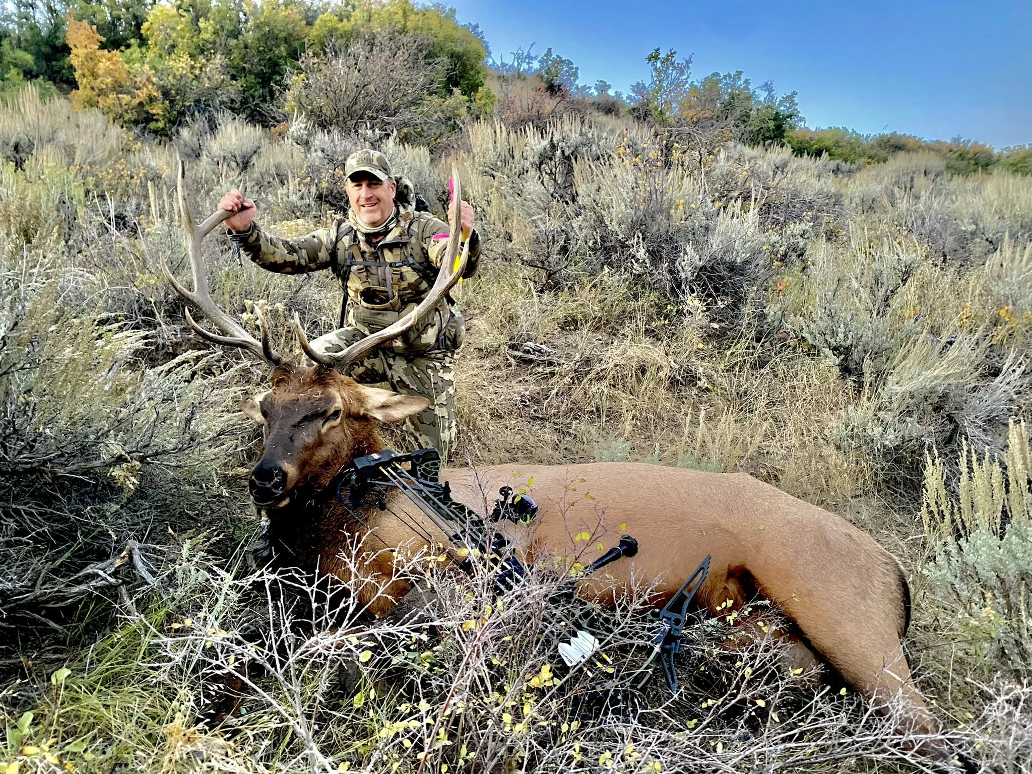 Hunter posing with a large elk in a rugged, grassy landscape. The hunter is wearing camo gear and smiling, holding the elk's antlers. The elk appears to be recently hunted with a bow nearby.