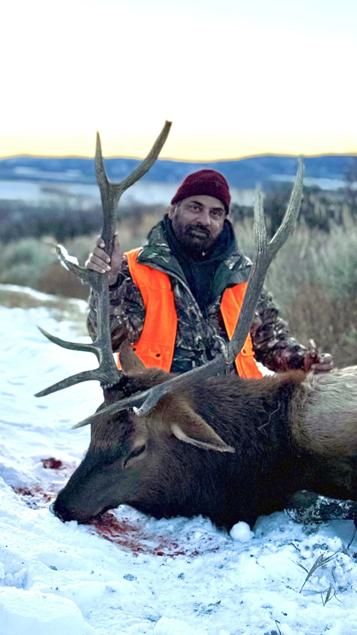 Hunter wearing camo and orange vest posing with harvested elk in snowy landscape.