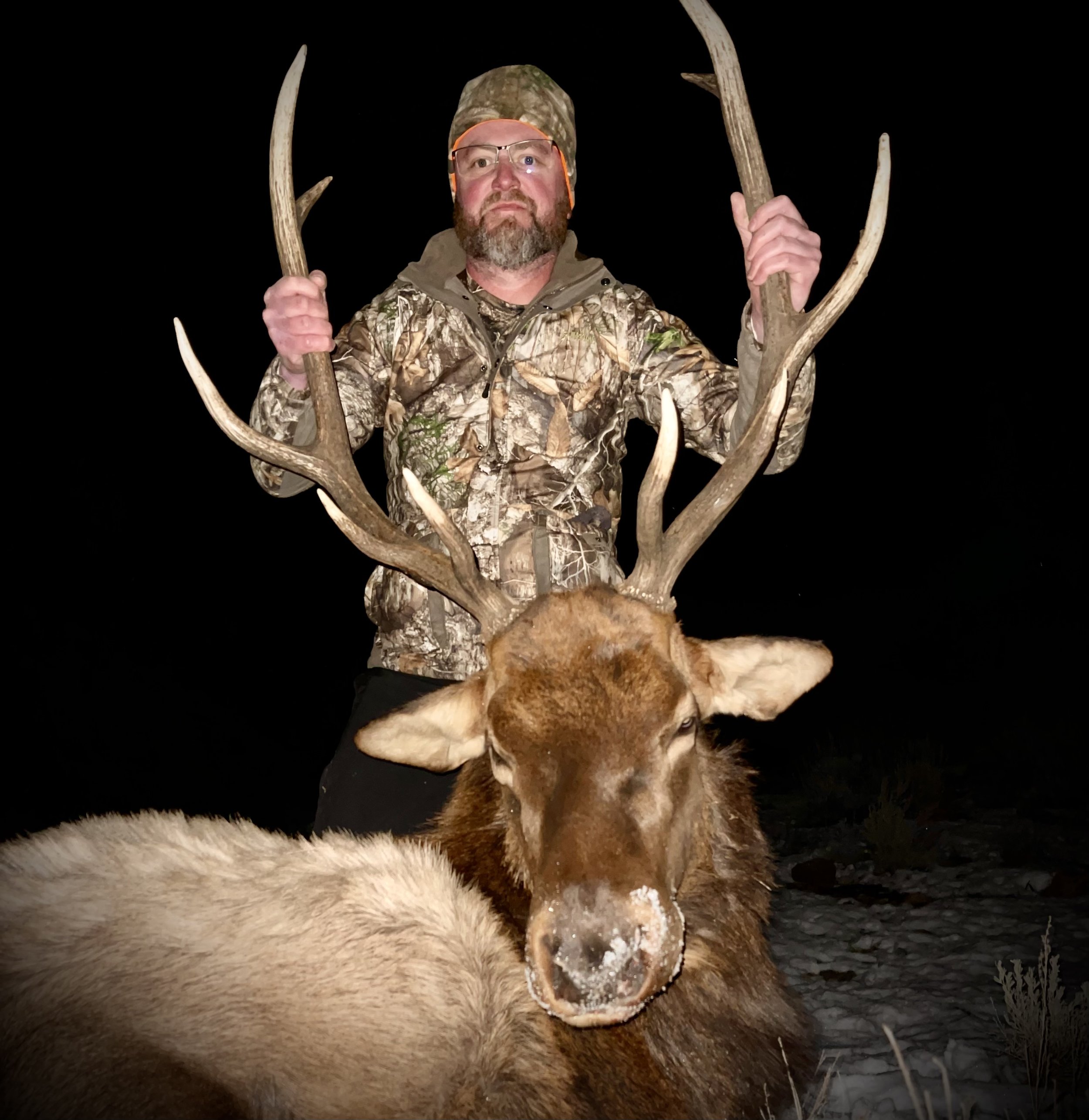 Man in camouflage holding antlers of a large elk at night.