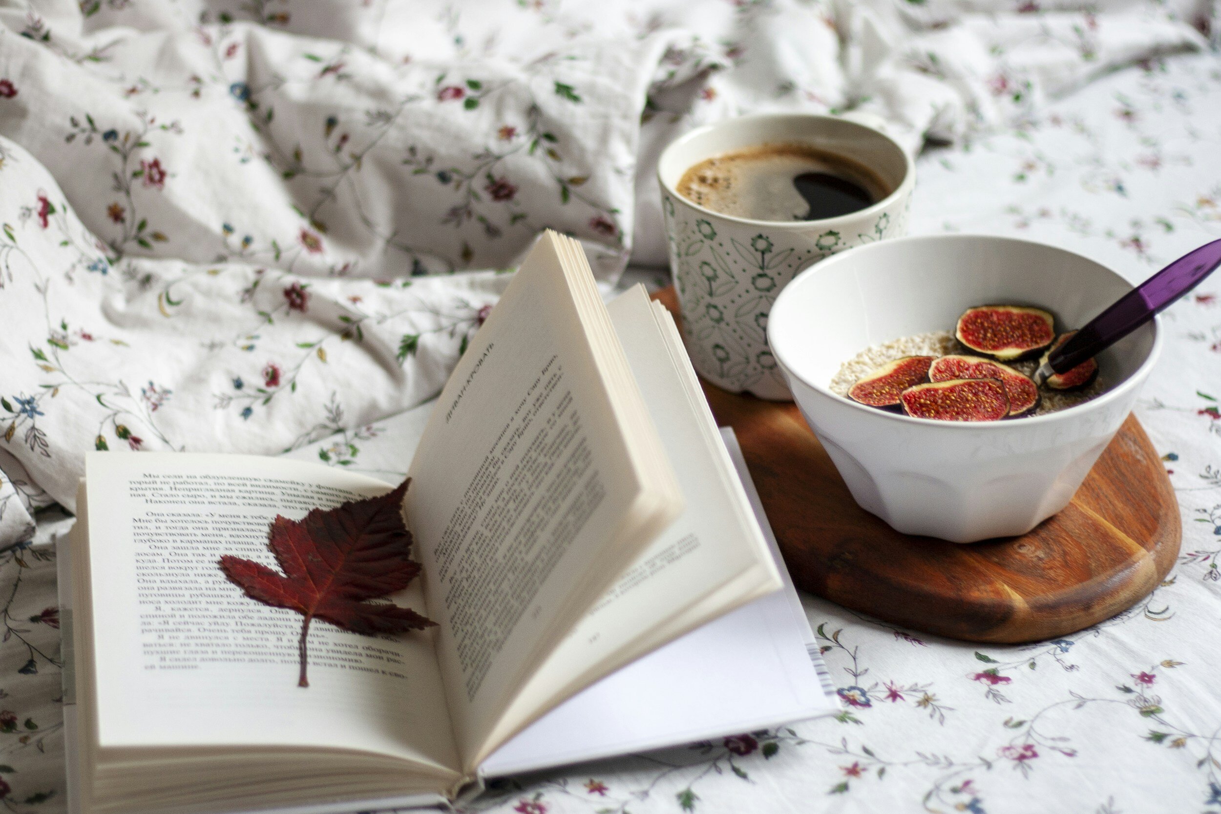 Why I Write Cozy Fantasy