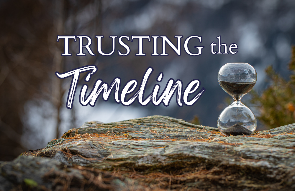 Trusting the Timeline