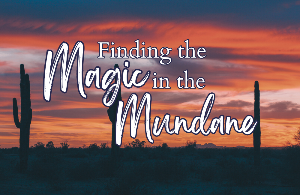 Finding the Magic in the Mundane
